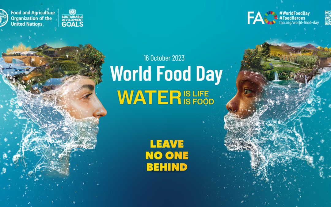 Water management is essential for agriculture and food