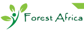 Forest Africa Zambia Limited