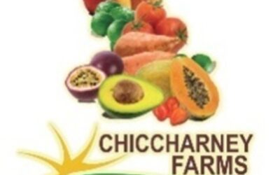 Chiccharney Farms