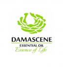 Damascene Processing
