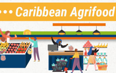 Sesión sobre las empresas agroalimentarias del Caribe n°22
